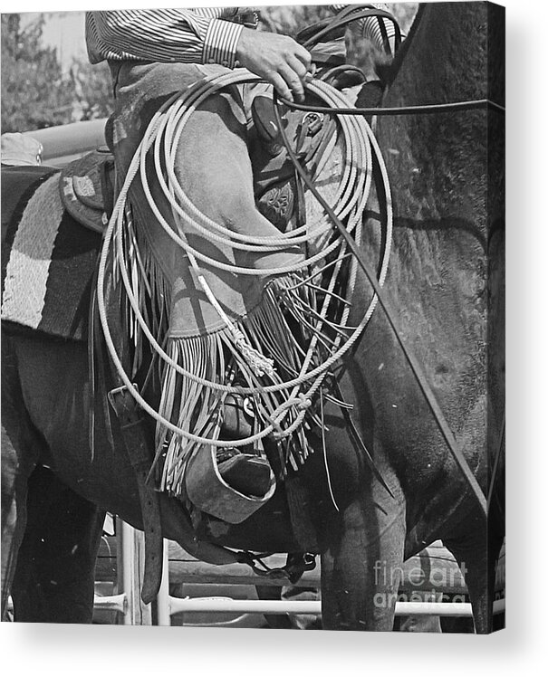 Horse Acrylic Print featuring the photograph Backing Up by Ann E Robson