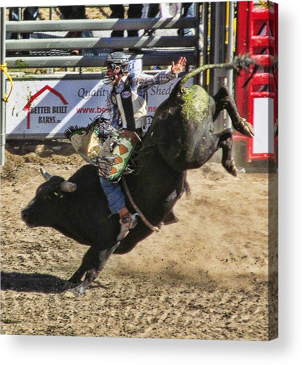 Ron Roberts Photography Acrylic Print featuring the photograph Bareback Bull riding by Ron Roberts