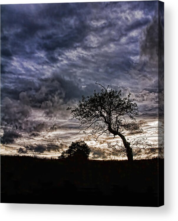 Northumberland Shore Acrylic Print featuring the photograph Nova Scotia's Lonely Tree Before the Storm by Ginger Wakem