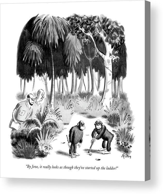 80439 Efi Ed Fisher (two White Men In Safari Suits Acrylic Print featuring the drawing By Jove, It Really Looks As Though They've by Ed Fisher