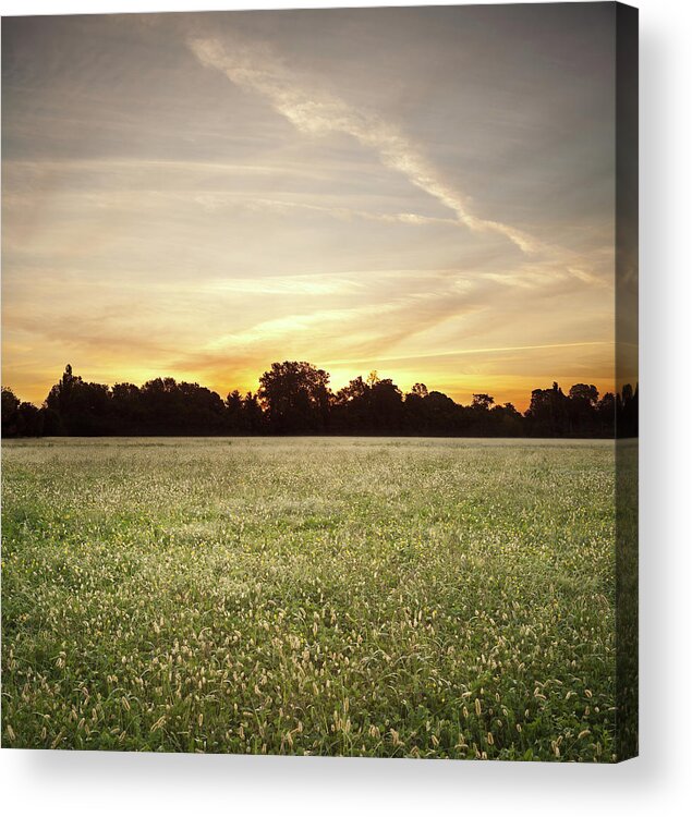 Dawn Acrylic Print featuring the photograph Country Landscape At Dawn by Rinocdz