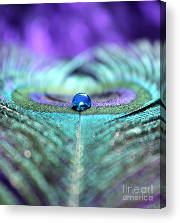 Peacock Feather Acrylic Print featuring the photograph Exotic Peacock by Krissy Katsimbras
