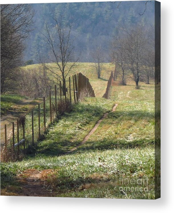 Fence Acrylic Print featuring the photograph Fence View by Anita Adams