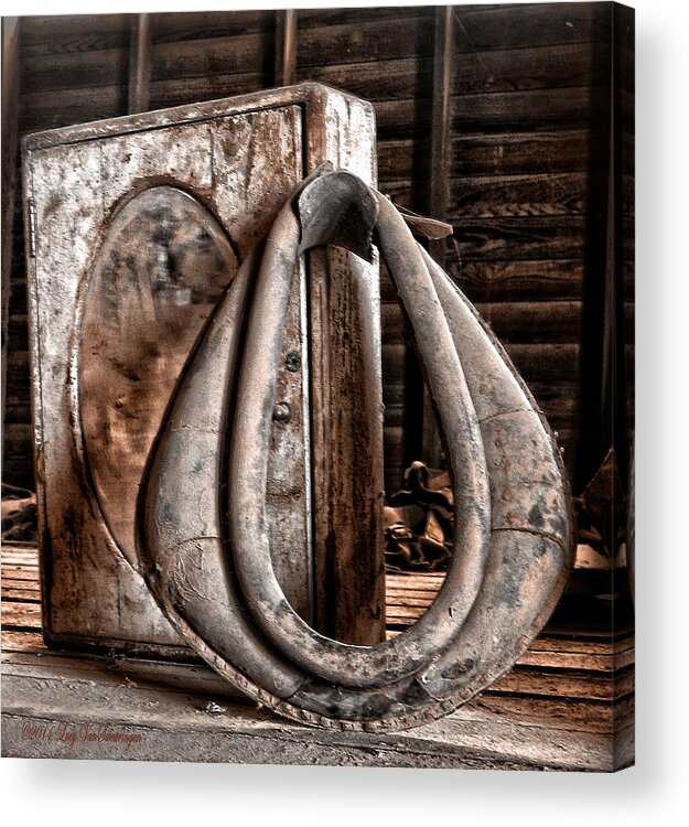 Rustic Photograph Print Acrylic Print featuring the photograph Gathering Dust by Lucy VanSwearingen