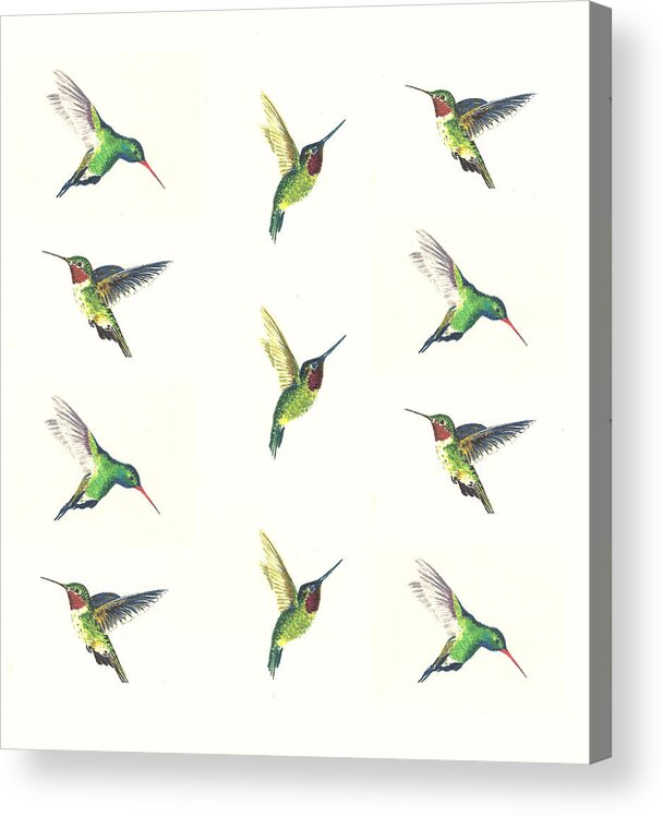 Animals Acrylic Print featuring the painting Hummingbirds Number 2 by Michael Vigliotti