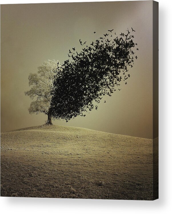 Conceptual Acrylic Print featuring the photograph Last Hope by Radin Badrnia