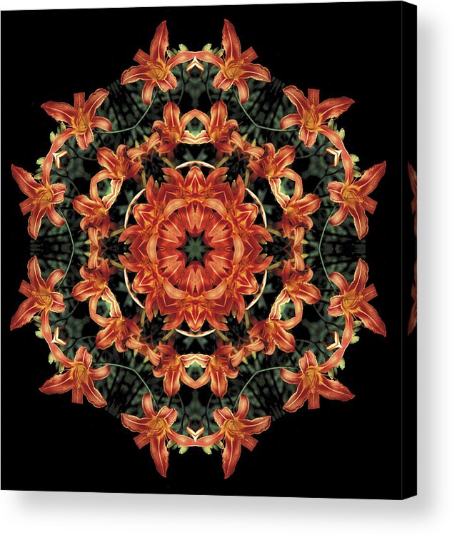 Mandala Acrylic Print featuring the photograph Mandala Daylily by Nancy Griswold