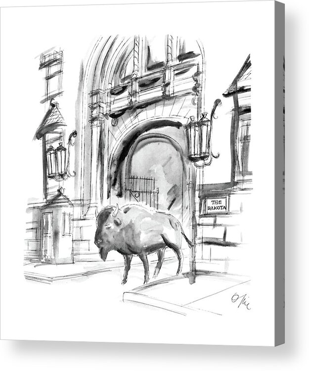 No Caption
A Buffalo Stands In The Entranceway To The Dakota Apartment House In Manhattan. 
No Caption
A Buffalo Stands In The Entranceway To The Dakota Apartment House In Manhattan. 
Urban Acrylic Print featuring the drawing New Yorker May 9th, 1988 by Everett Opie
