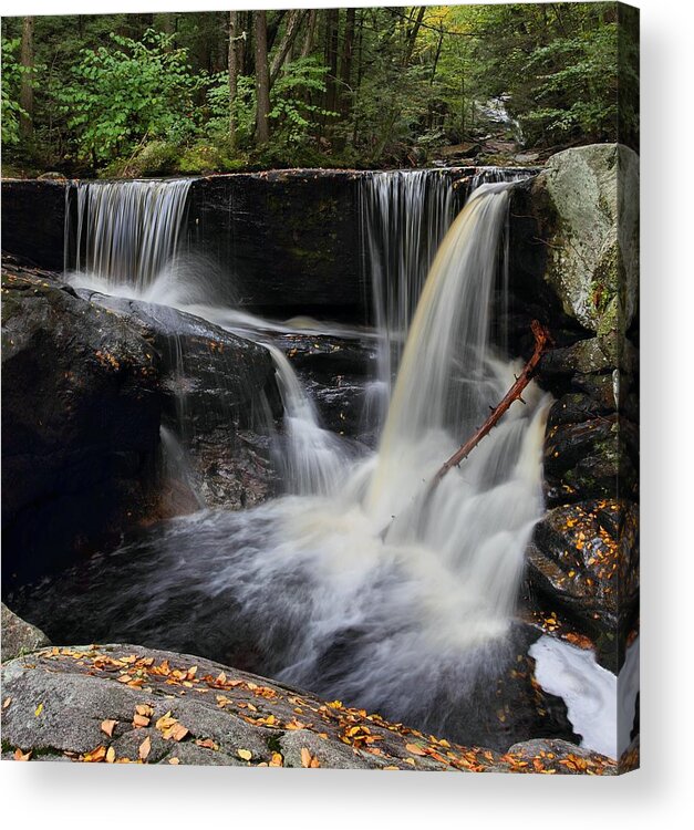 Enders State Forest Acrylic Print featuring the photograph Next To Last by Mike Farslow