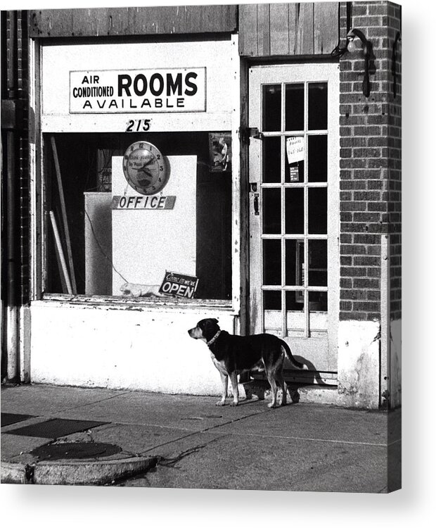 Rooms Acrylic Print featuring the photograph Rooms Available by Steven Huszar
