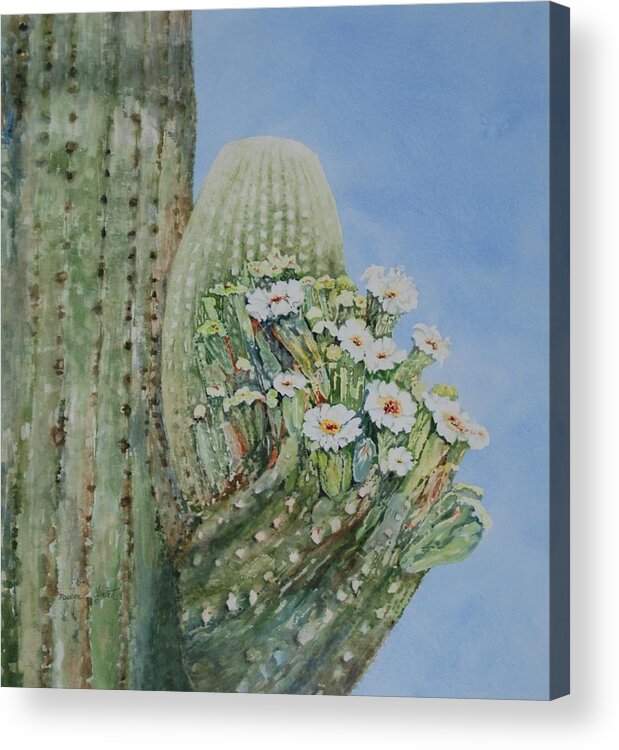 Cactus Acrylic Print featuring the painting Saguaro Cactus in Bloom by Marilyn Clement