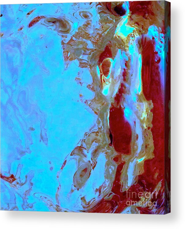 Seahorse Acrylic Print featuring the photograph Seahorse by Anita Lewis