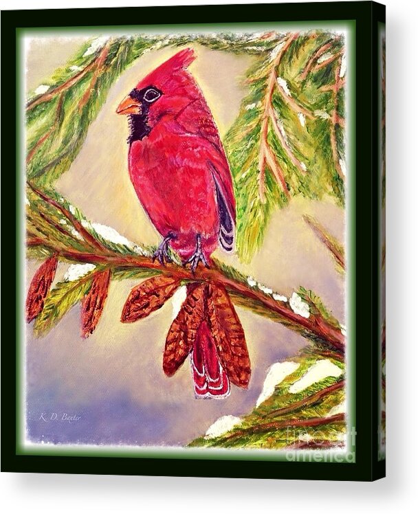 Red Male Cardinal Perched On A Evergreen Tree Branch With Pine Cones Snow Melting Light Filtering In With Blue Skies Behind It Cardinal Bird Paintings Nature Paintings Christmas Card Image Acrylic Painting Acrylic Print featuring the painting Singing the Good News with Border by Kimberlee Baxter
