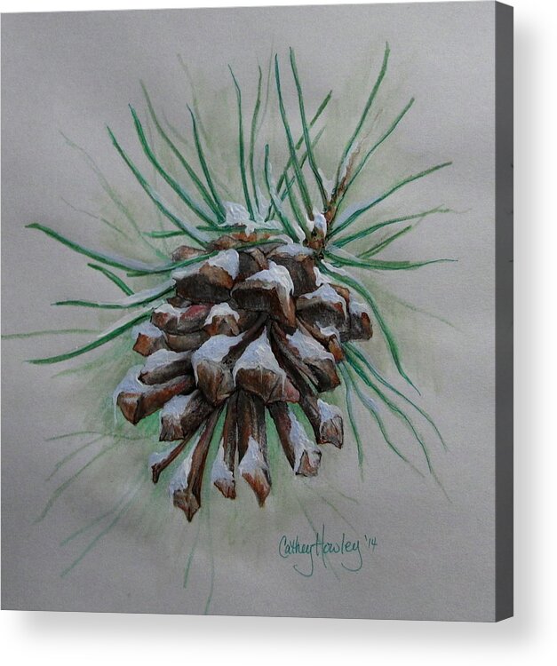 Pine Acrylic Print featuring the painting Snowy Pinecone by Catherine Howley