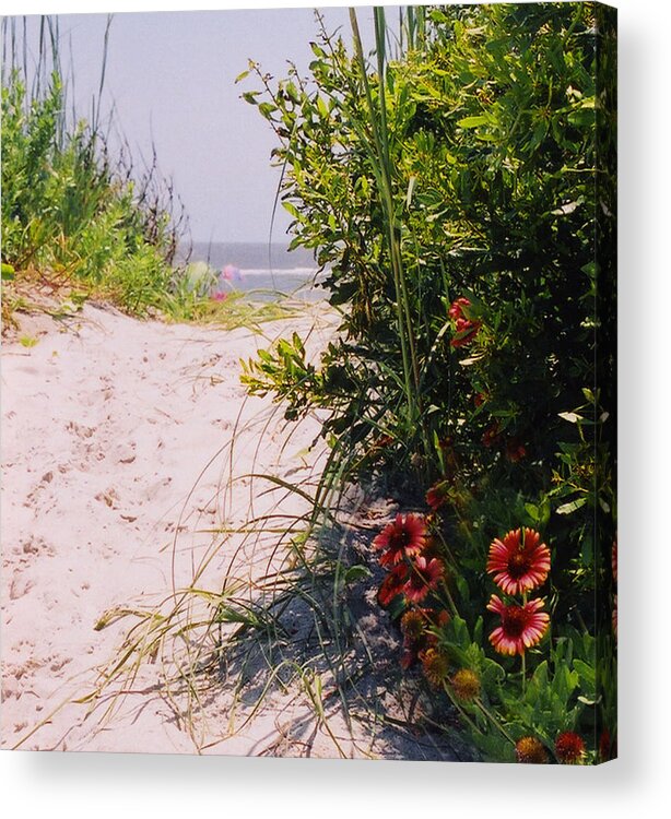 Beach Landscape Acrylic Print featuring the photograph The Path by Edward Shmunes