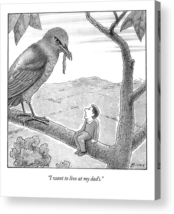 Giant-sized Acrylic Print featuring the drawing Tiny Man Looks Up At Bird As He Sits On A Branch by Harry Bliss