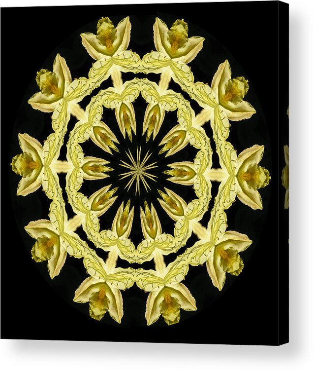 Kaleidoscope Acrylic Print featuring the photograph Yellow Fantasy by Lena Photo Art