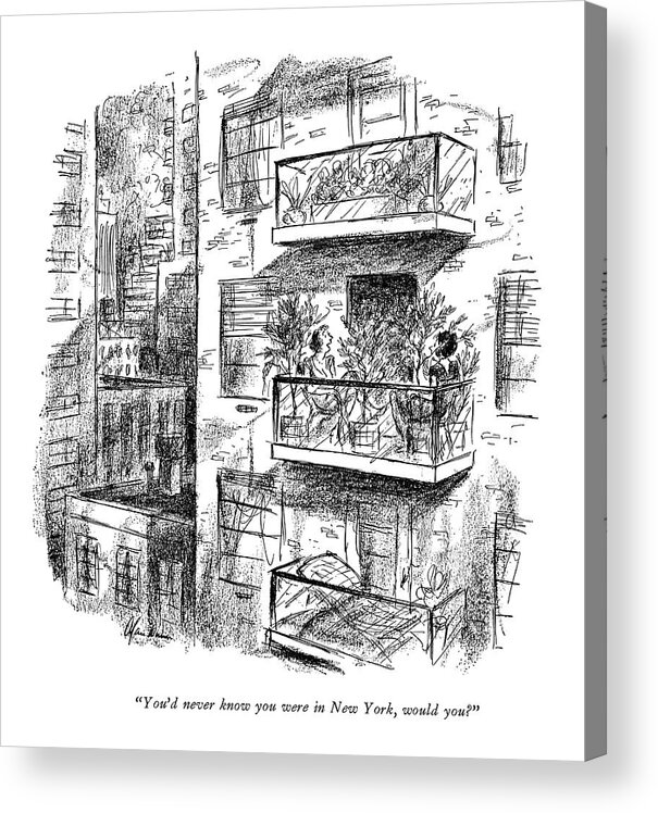 
 Matrons Sits On Tiny Balcony Attached To Modern Apartment Building. 
City Life Urban Life Apartment Life Nyc Ny Modern Life Denial Self-deception Iwd Natural Nature Outdoors Environment Environmental Plants Plant 68077 Adu Alan Dunn Acrylic Print featuring the drawing You'd Never Know You Were In New York by Alan Dunn