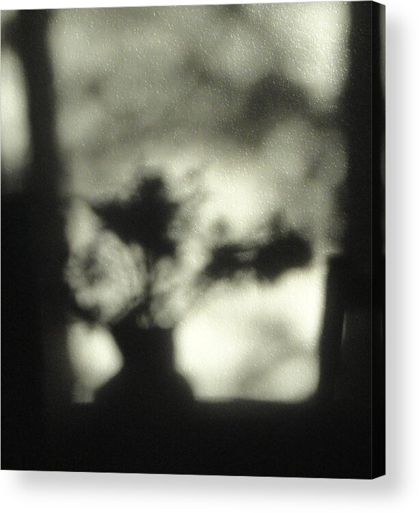 Shadow Acrylic Print featuring the photograph Ombra by Shannon Grissom