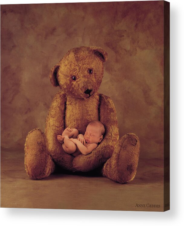 Teddy Bear Acrylic Print featuring the photograph Big Ted by Anne Geddes