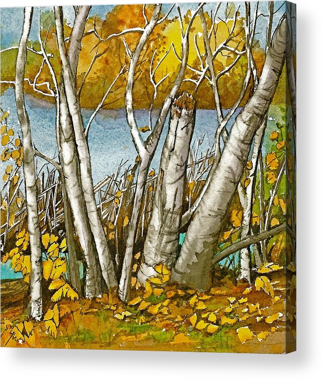 Landscape Acrylic Print featuring the painting Broken Birch by Lynn Babineau