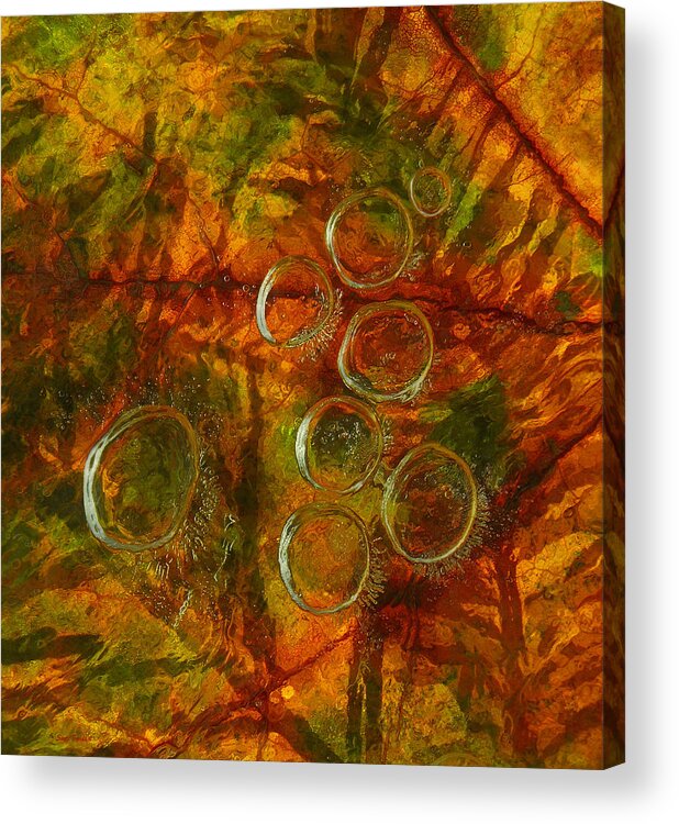 Colors Of Acrylic Print featuring the photograph Colors of Nature 10 by Sami Tiainen