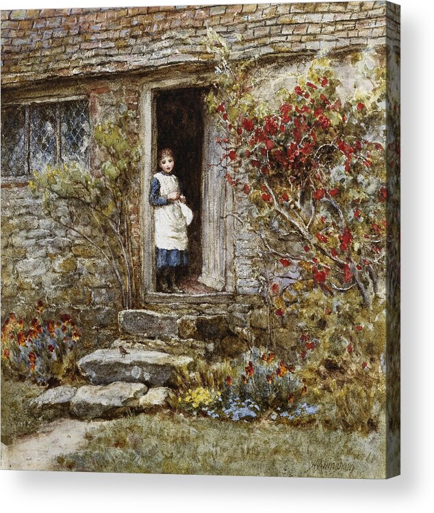 Corcorus Japonica Acrylic Print featuring the painting Corcorus Japonica by Helen Allingham