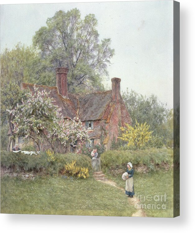 Cottage Acrylic Print featuring the painting Cottage at Chiddingfold by Helen Allingham