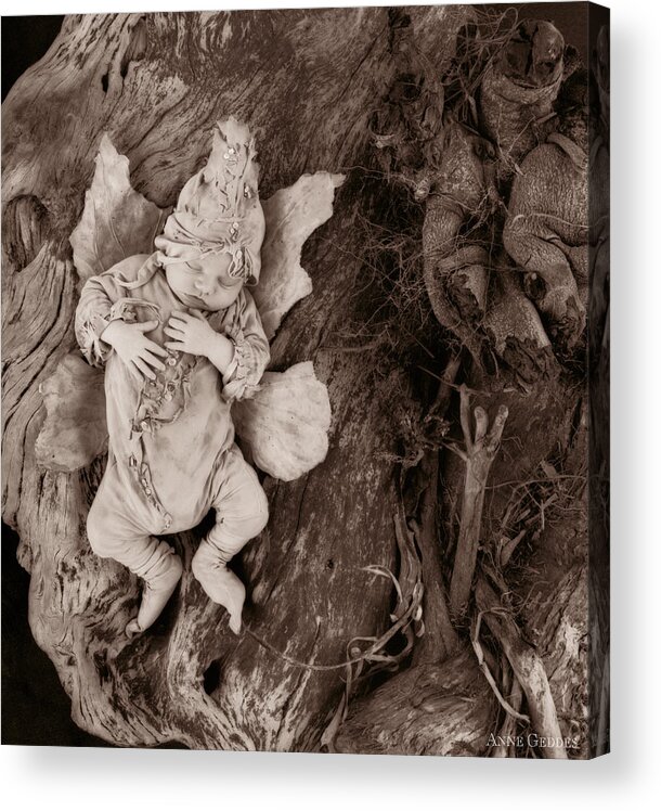 Sepia Acrylic Print featuring the photograph Driftwood Fairy by Anne Geddes