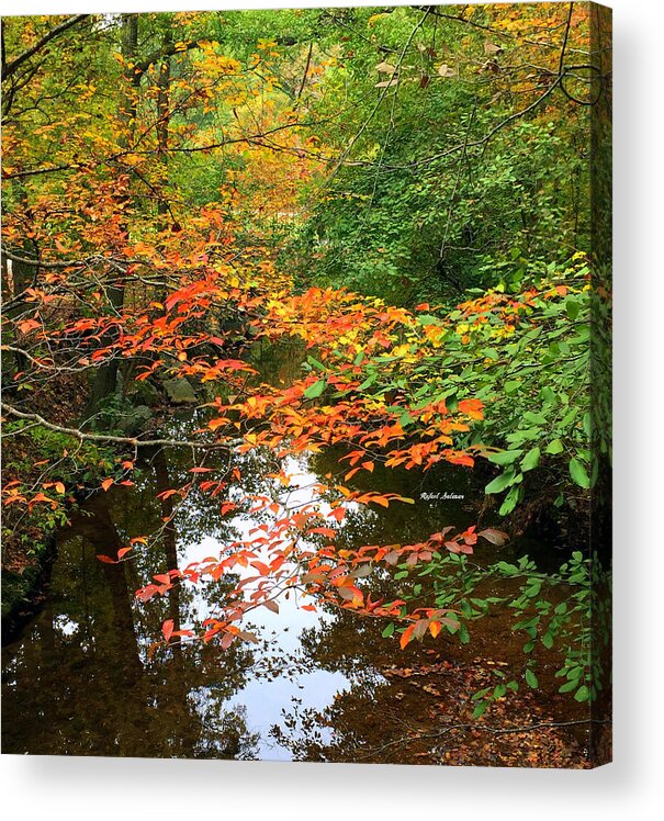 Fall Leaves Acrylic Print featuring the photograph Fall is in the Air by Rafael Salazar