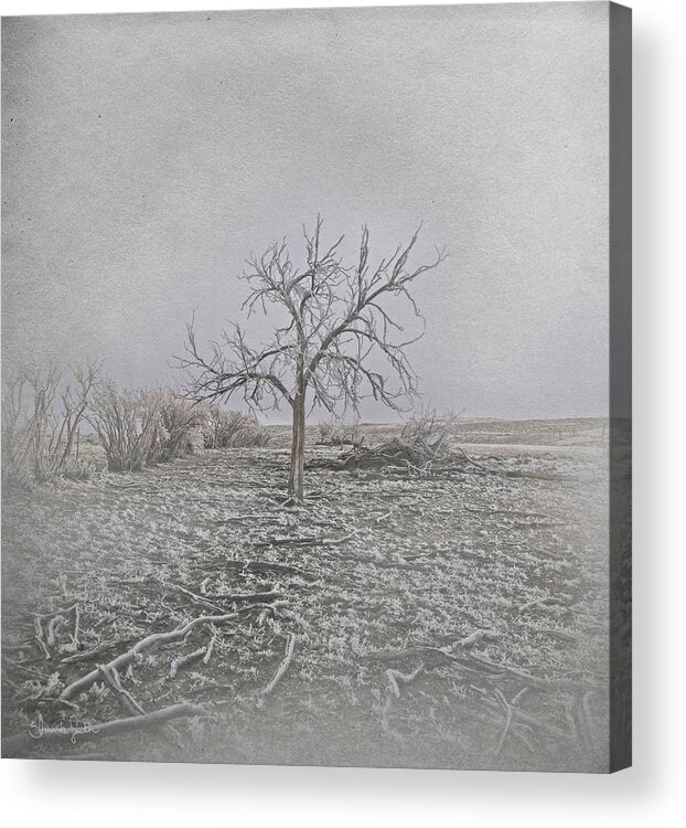 Tree Acrylic Print featuring the mixed media Frosted by Amanda Smith