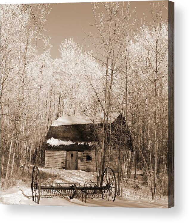 Homestead Acrylic Print featuring the photograph Homestead by Pat Purdy