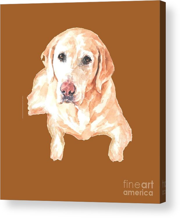 Dogs Acrylic Print featuring the painting Honey Lab T-shirt by Herb Strobino