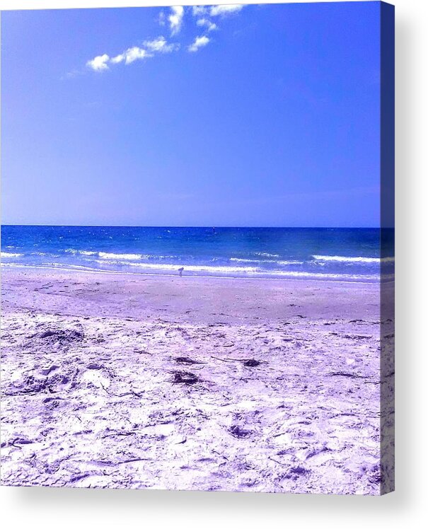 Beach Acrylic Print featuring the photograph Indian Rocks Beach by Suzanne Berthier