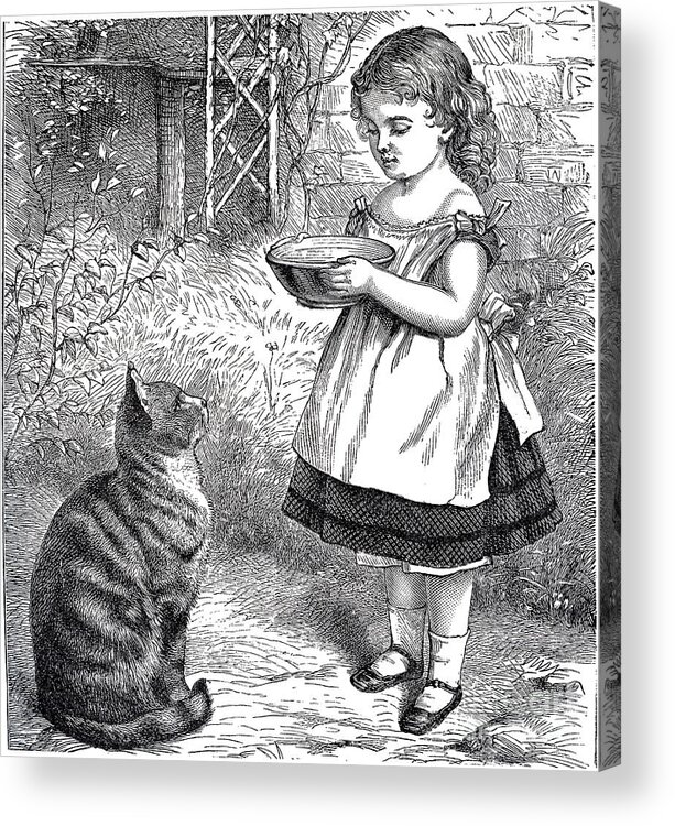Little Girl Acrylic Print featuring the drawing Little Girl Gives Her Cat Its Dinner by Vintage Collectables