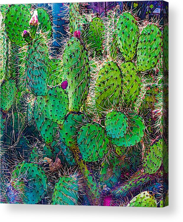 Susaneileenevans Acrylic Print featuring the photograph Look, But Don't Touch by Susan Eileen Evans
