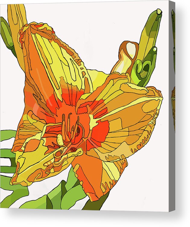 Canna Acrylic Print featuring the painting Orange Canna Lily by Jamie Downs