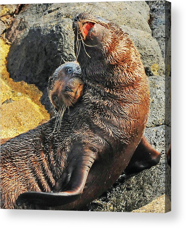 Playful Acrylic Print featuring the photograph Playful Friends by Ted Keller