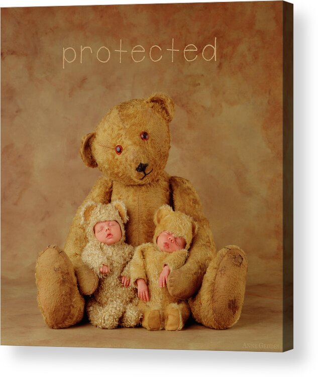 Teddy Acrylic Print featuring the photograph Protected by Anne Geddes