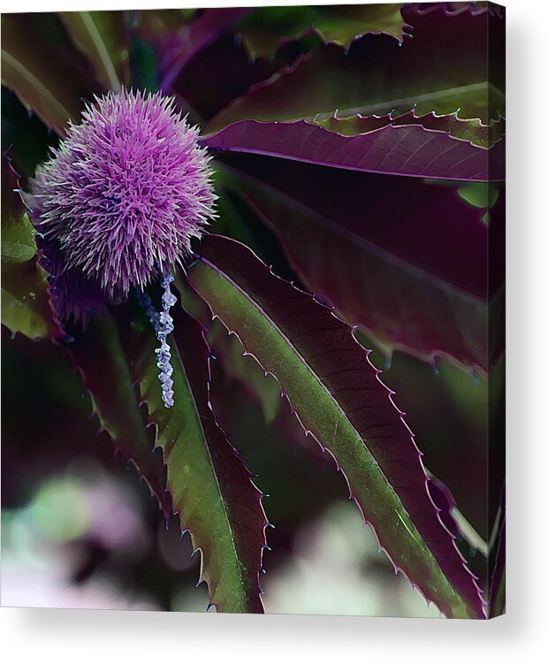 Outside Acrylic Print featuring the photograph Purple Wonder by Cherie Duran