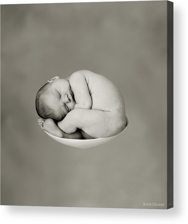 Black And White Acrylic Print featuring the photograph Sally Pearl by Anne Geddes