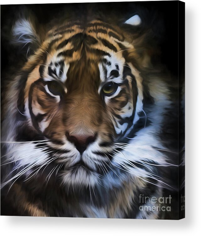 Sumatran Tiger Acrylic Print featuring the photograph Sumatran tiger by Sheila Smart Fine Art Photography