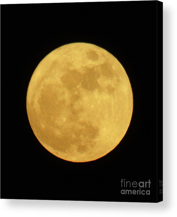 Supermoon Acrylic Print featuring the photograph Super Moon December 2016 by D Hackett