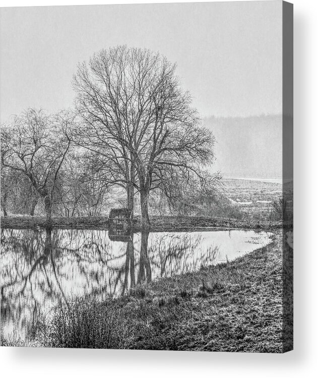 Black And White Acrylic Print featuring the photograph Trees in fog Kennebunk Maine by David Smith