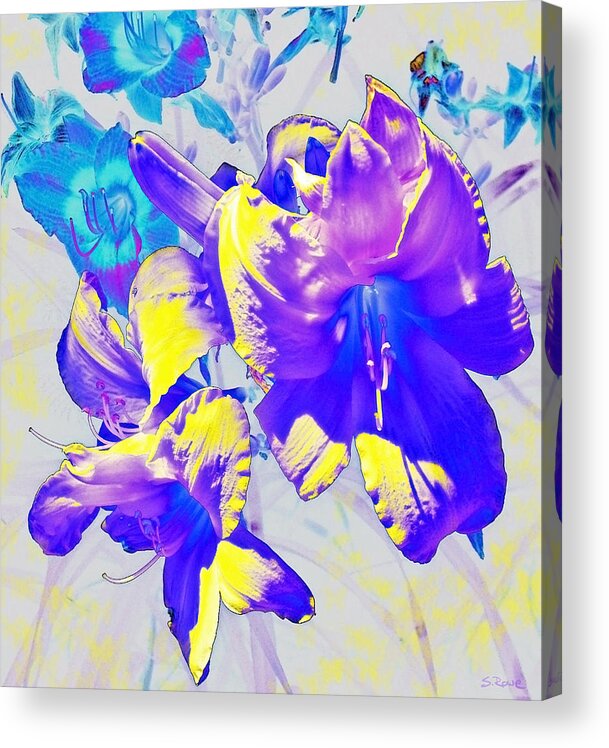 Ultraviolet Color Acrylic Print featuring the photograph Ultraviolet Daylilies by Shawna Rowe