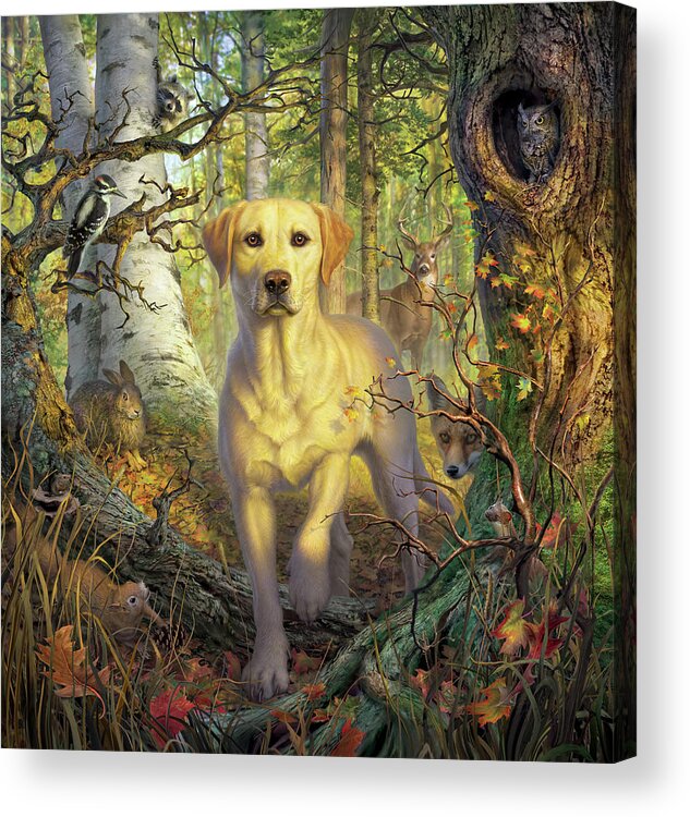 Labrador Acrylic Print featuring the digital art Yellow Lab in Fall by Mark Fredrickson