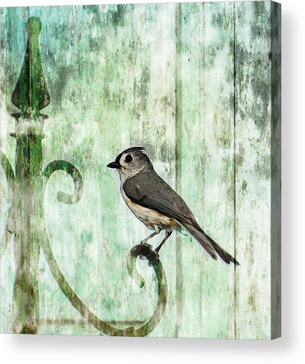 Bird Acrylic Print featuring the photograph Zoe's Tufted Titmouse by Cynthia Wolfe