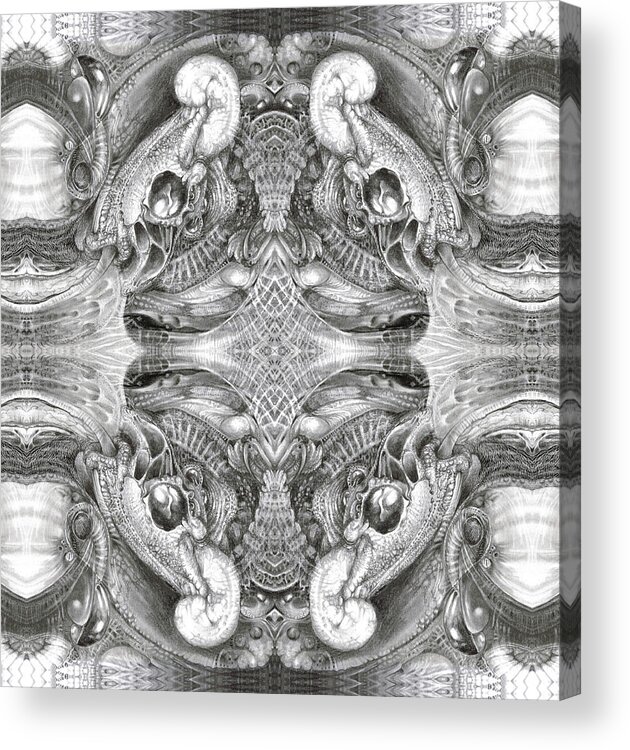 Fantasy; Surreal; Drawing; Otto Rapp; Art Of The Mystic; Michael Wolik; Photography; Bogomil Variations Acrylic Print featuring the digital art Bogomil Variation 5 by Otto Rapp