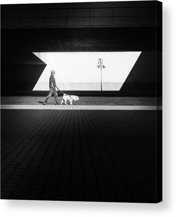 Dog Acrylic Print featuring the photograph Carry Me by Laura Mexia