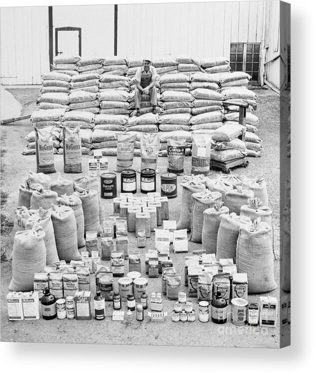 People Acrylic Print featuring the photograph Farmer Surveys Chemical Supply by Bettmann